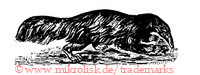 (Ameisenb&auml;r)