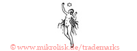 (Frau, nackt, mit langen Haaren und Stern)
