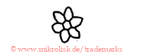 (Blume / Blüte)