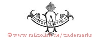 Indestructible / W (auf Banner mit Strahlen) | w